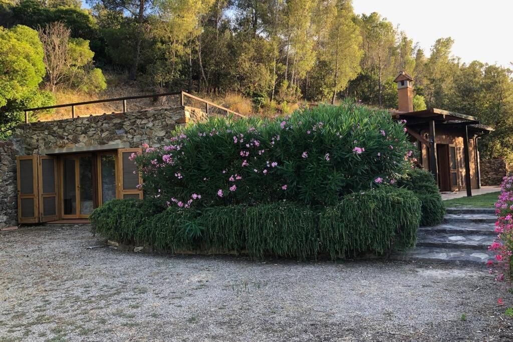 Il Belvedere - Cannelle Beach Argentario - Tuscany Villa มอนเต อาร์เจนตาริโอ ภายนอก รูปภาพ